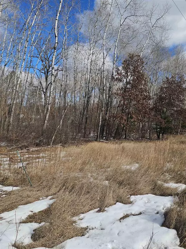 Gordon, WI 54873,LOT 4 Fire Hill Estates