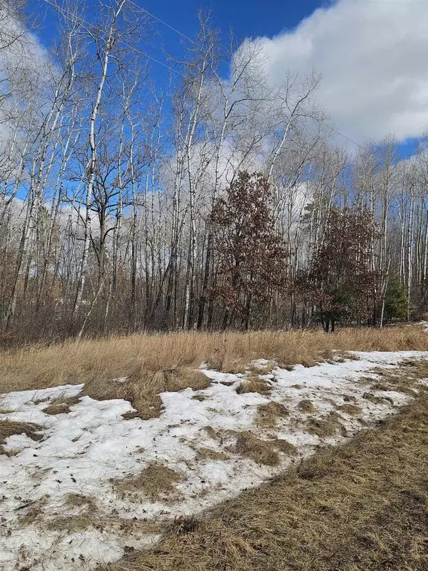 LOT 4 Fire Hill Estates, Gordon, WI 54873