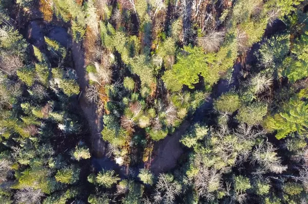 Herbster, WI 54844,XXX Lenawee Rd