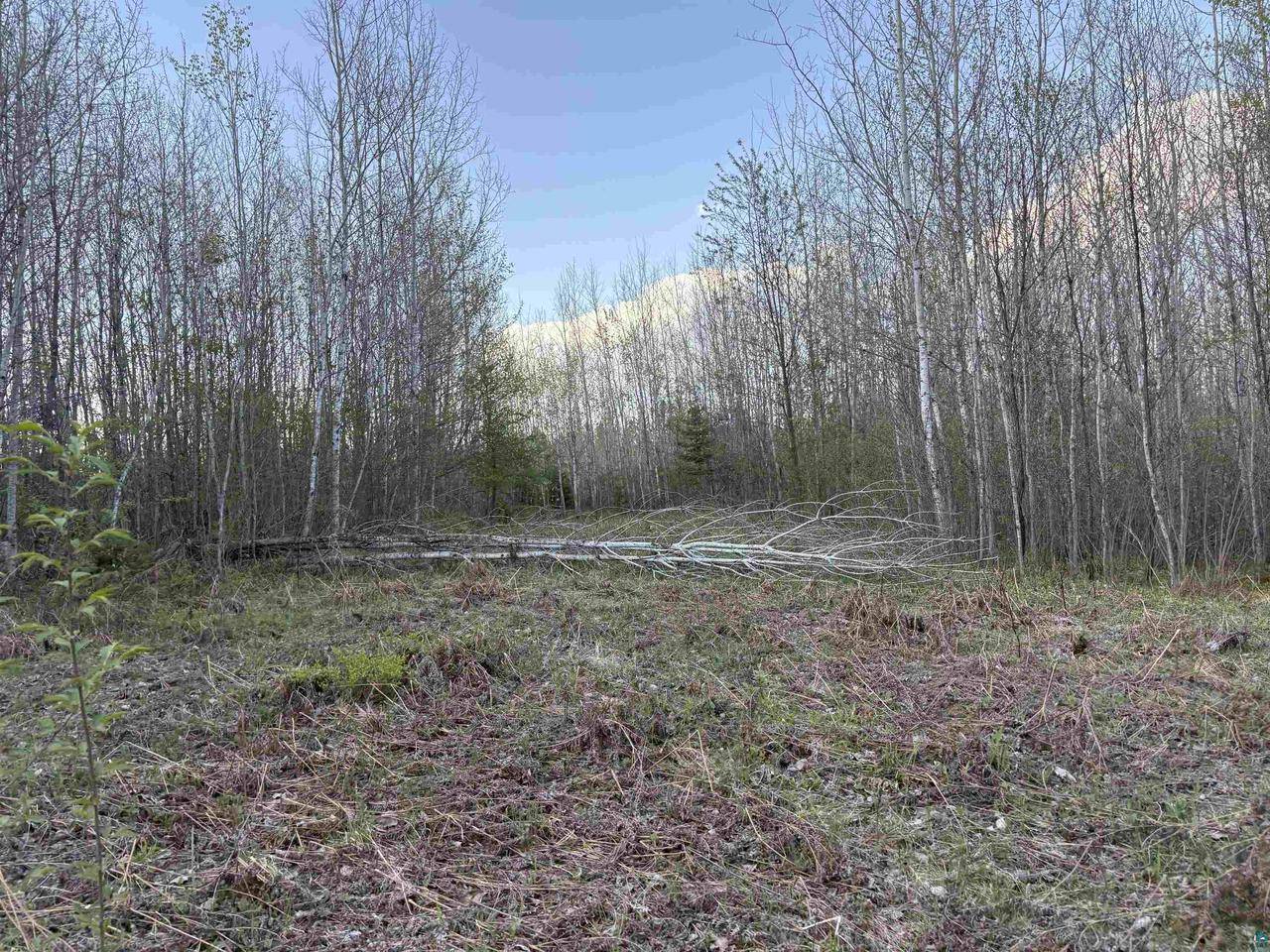 Glidden, WI 54527,0000 Mertig Rd