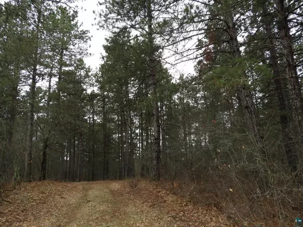 Barnes, WI 54873,56XXX Wilderness Ct