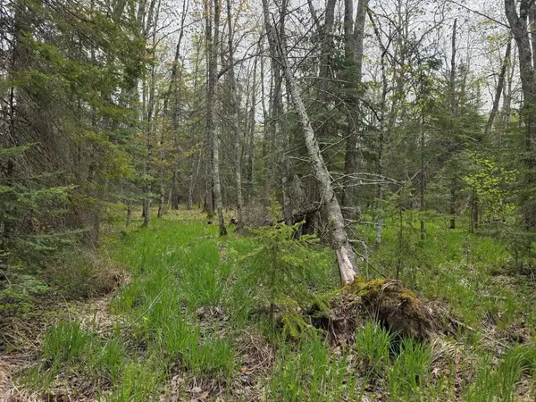 La Pointe, WI 54850,xx Stone Point Ln