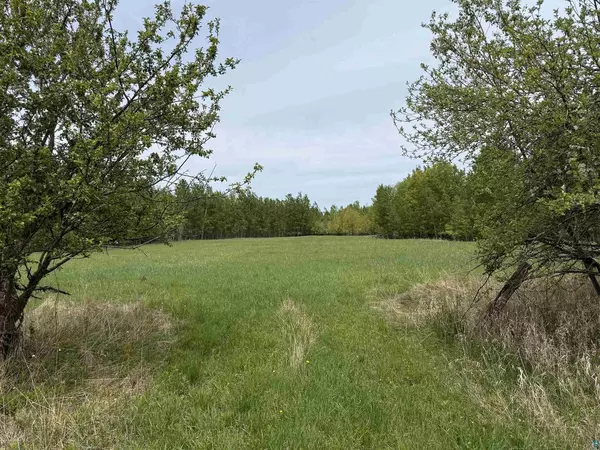 Marengo, WI 54855,TBD Hanninen Rd