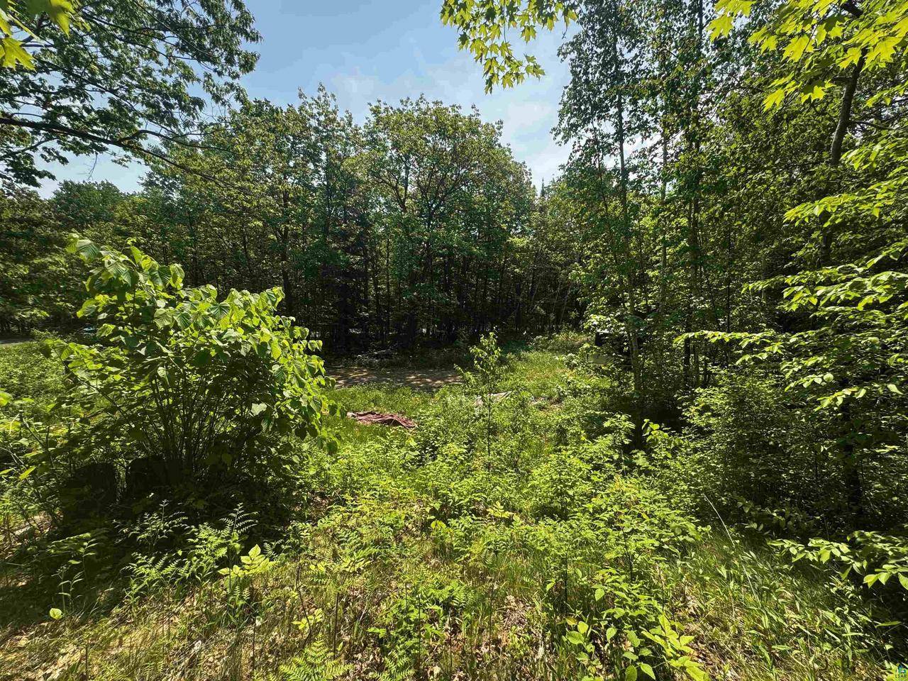 Bayfield, WI 54814,85395 Longwood Dr