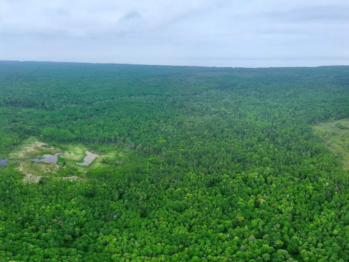 Port Wing, WI 54820,80 Acres Near Tar Paper Alley