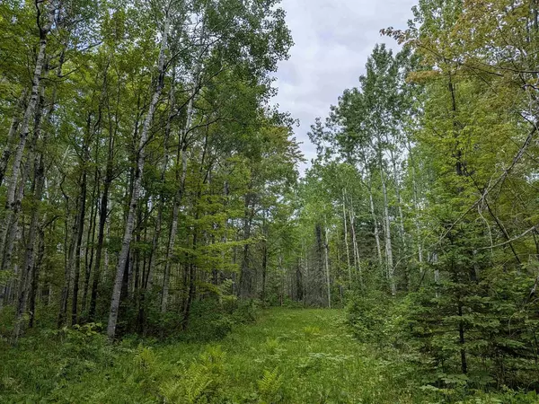 Port Wing, WI 54820,80 Acres Near Tar Paper Alley