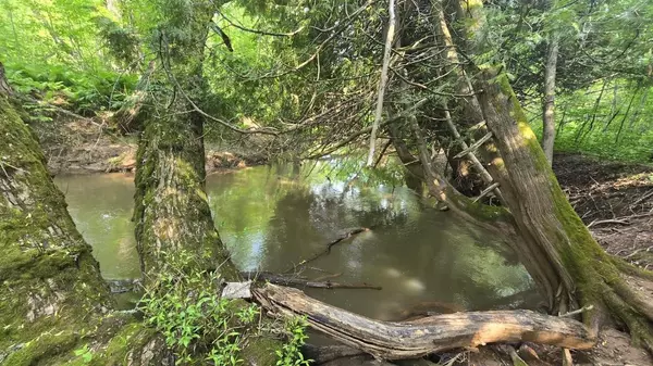 Port Wing, WI 54865,10550 Flagg River Rd