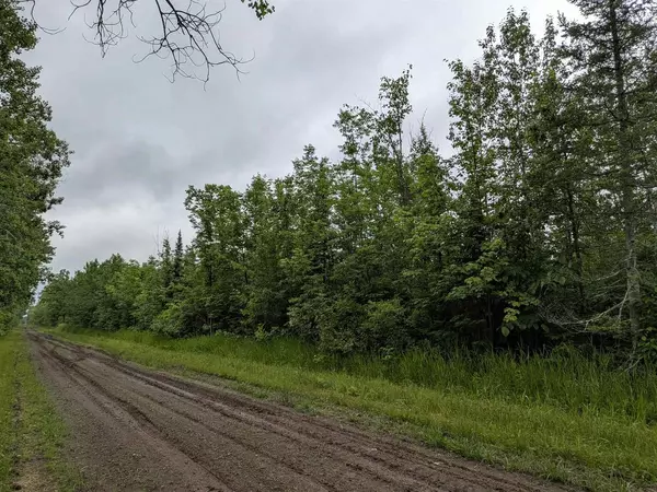 Brule, WI 54820,80 Acres on County Line Rd