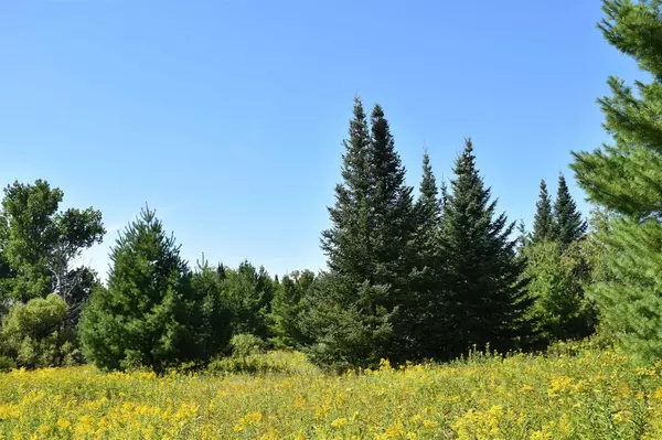 Washburn, WI 54891,30210 Wannebo Rd