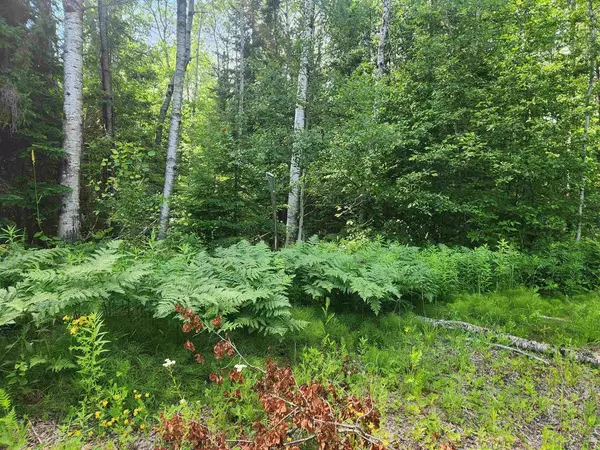 Cornucopia, WI 54827,22180 State Hwy 13