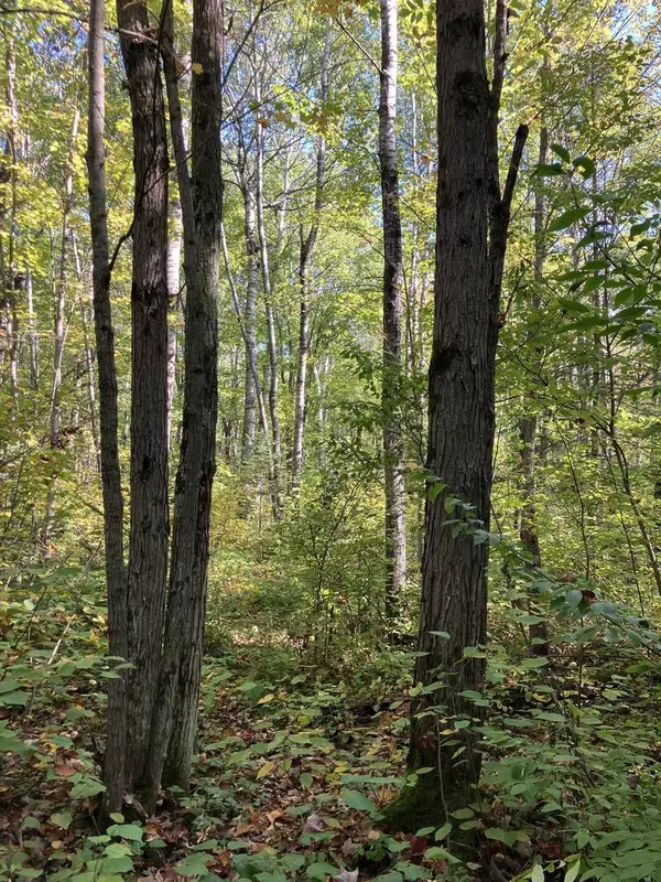 Saxon, WI 54546,00004 Government Rd