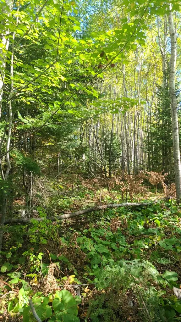 59XX Tri Lakes Rd, South Range, WI 54880