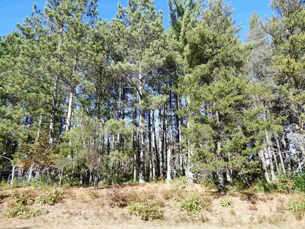 Barnes, WI 54873,27XX Ellison Lake Rd