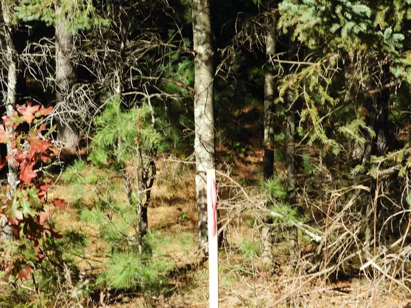 Barnes, WI 54873,27XX Ellison Lake Rd