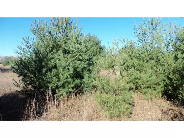 Webster, WI 54893,LOT 10 CULBERTSON RD