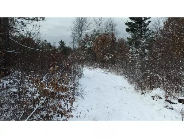 Webster, WI 54893,LOT 4 PINEWOOD TRAIL