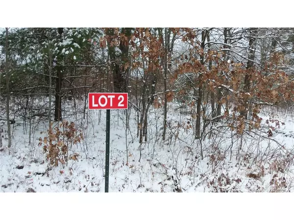 Webster, WI 54893,LOT 2 KRUGER RD