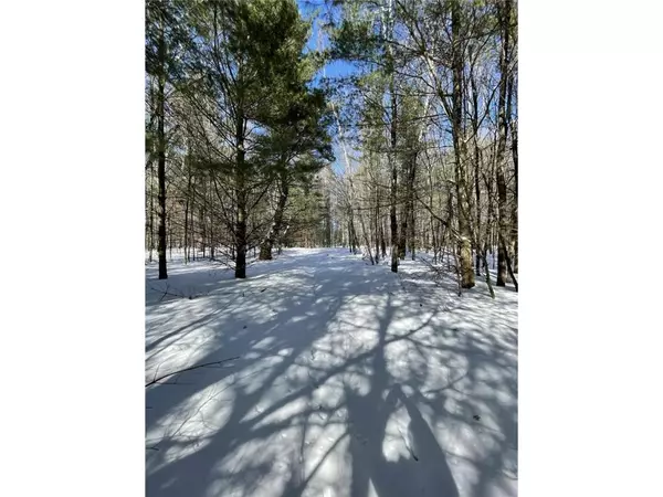 Shell Lake, WI 54871,1603 S Lake Dr