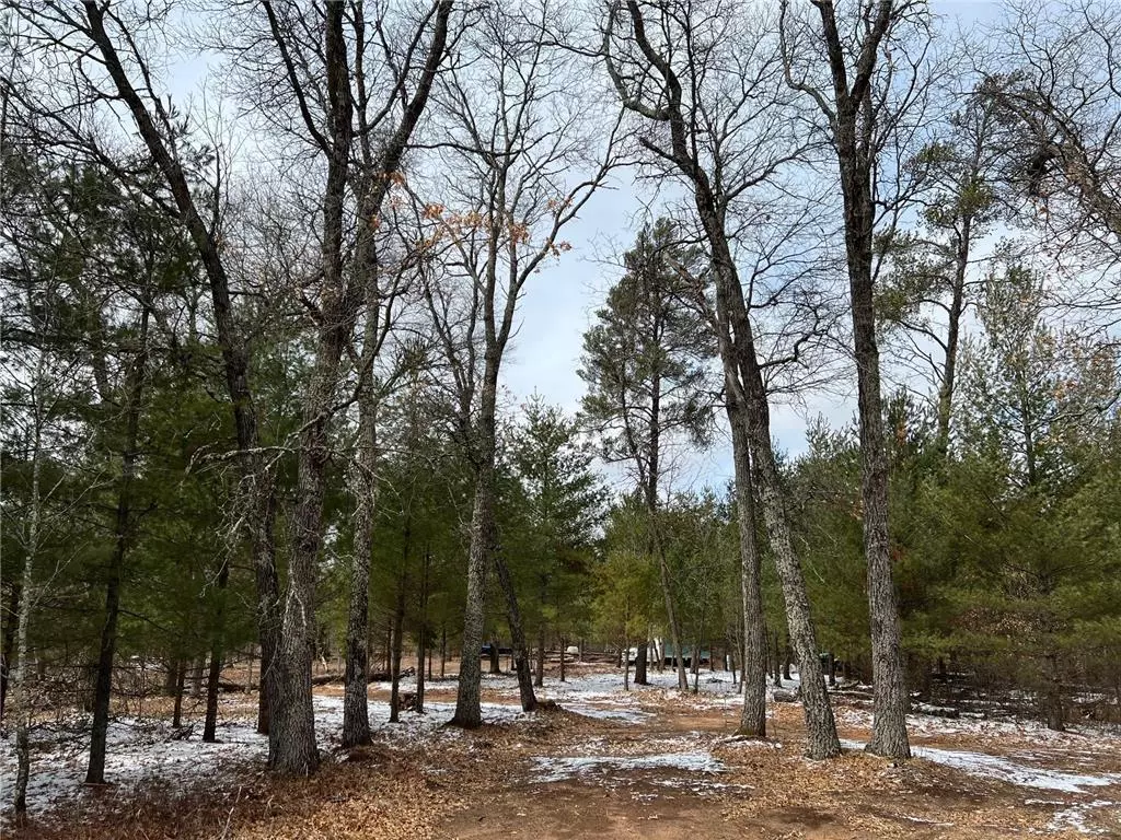 Grantsburg, WI 54840,25541 Sandridge Trl