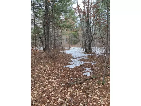 Solon Springs, WI 54873,xx S Cemetery Rd