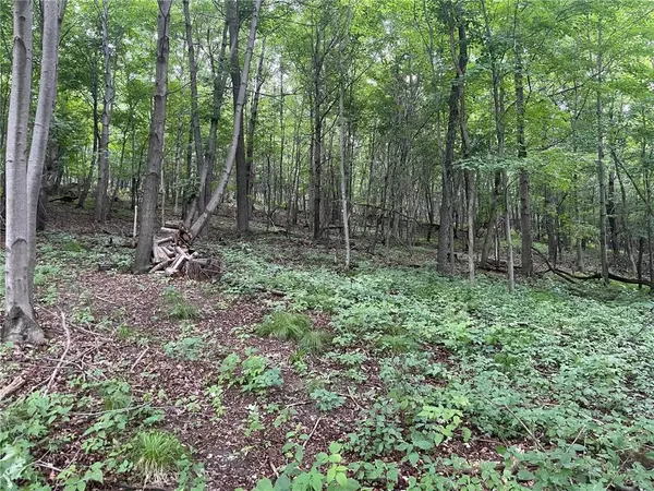 Elk Mound, WI 54739,550 University Street