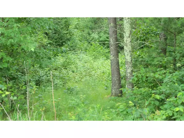 Webster, WI 54893,LOT 6 JACK PINE TRAIL