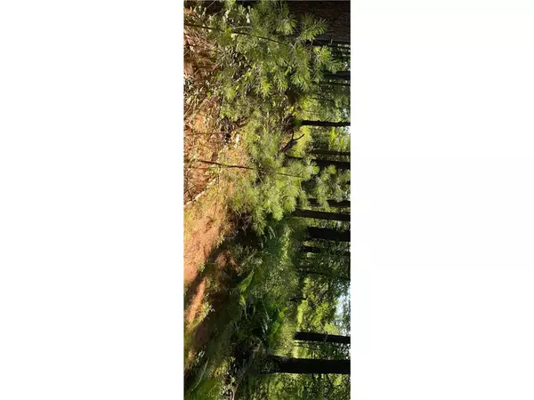 Fairchild, WI 54741,59 ac N Center Street