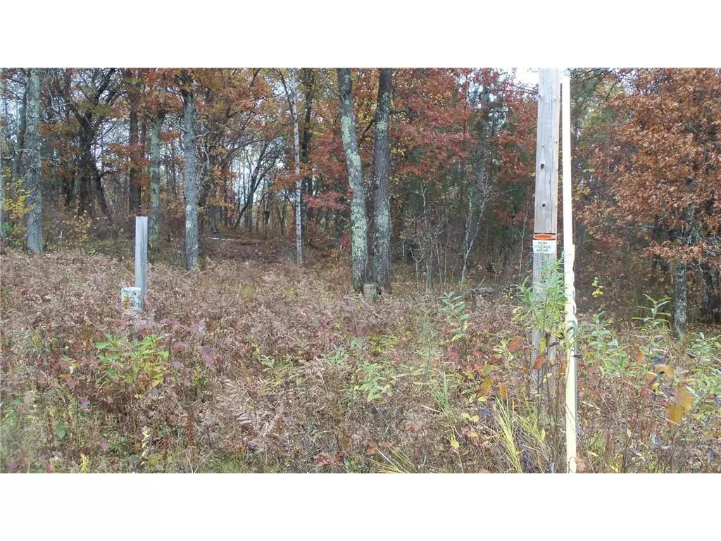 Minong, WI 54859,LOT 1 OLD BASS LAKE RD