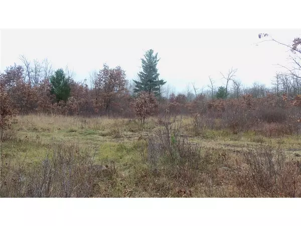 Grantsburg, WI 54840,LOT 8 TWINS OAKS TRL