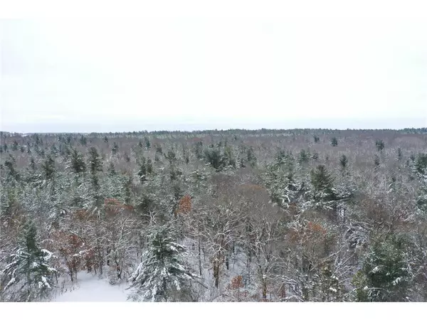 Grantsburg, WI 54840,XXX Skog Road