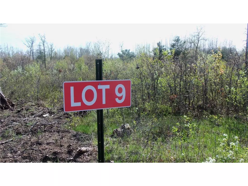 Grantsburg, WI 54840,Lot 9 Twin Oaks Trl