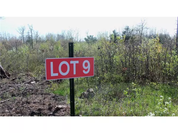 Lot 9 Twin Oaks Trl, Grantsburg, WI 54840
