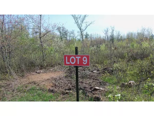 Grantsburg, WI 54840,Lot 9 Twin Oaks Trl