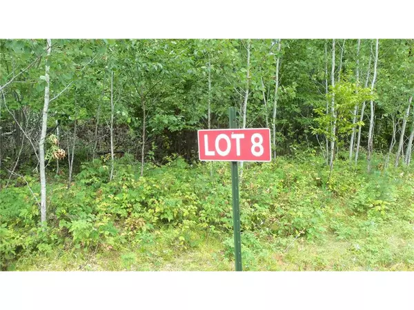 Webster, WI 54893,Lot 8 Cty Hwy H