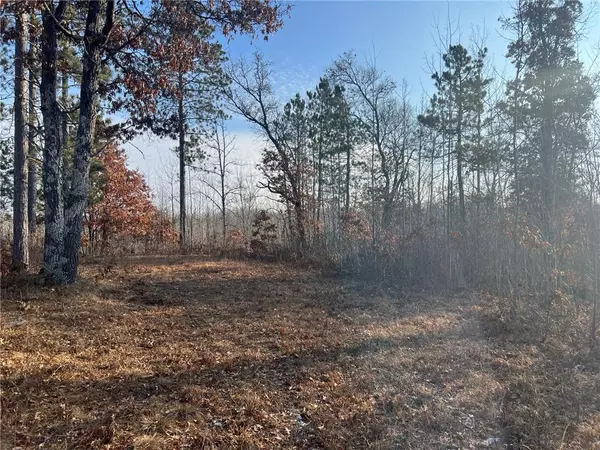 Lot 1 Brancel Road, Minong, WI 54859