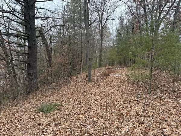 Star Prairie, WI 54026,Lot 4 192nd street