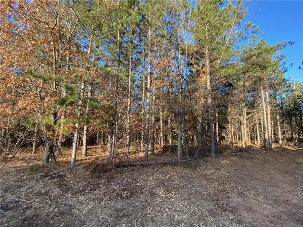 Gordon, WI 54838,14163 S Blackberry Lane