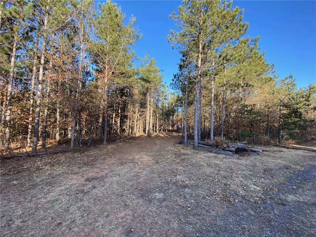 Gordon, WI 54838,14163 S Blackberry Lane