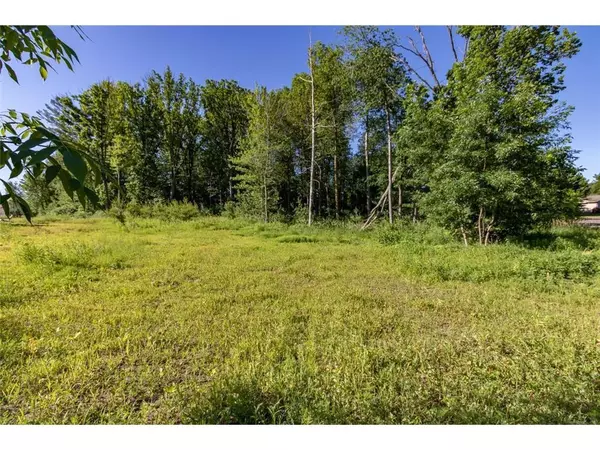 Amery, WI 54001,Lot 39 Sunflower Way