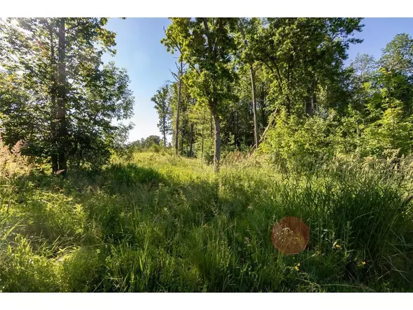 Amery, WI 54001,Lot 39 Sunflower Way