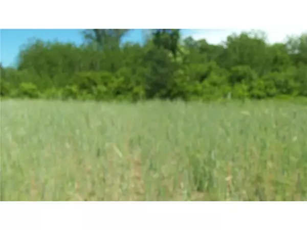 Siren, WI 54872,L0T 17 RED MAPLE LN