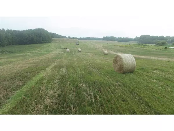 Saint Croix Falls, WI 54024,0 220th Avenue