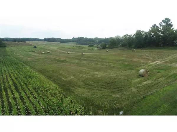 Saint Croix Falls, WI 54024,0 220th Avenue