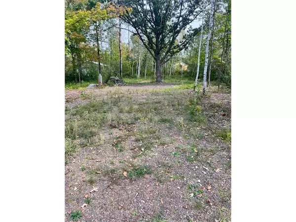 Birchwood, WI 54817,2873 28 3/4 Street