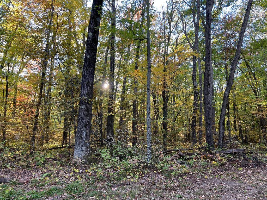 3459 103 Street, Frederic, WI 54837
