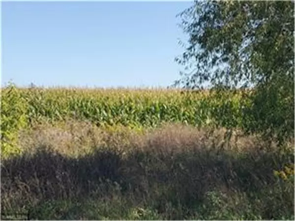 Hammond, WI 54015,1137 178th St./Dalton Farm Road, Lot 17