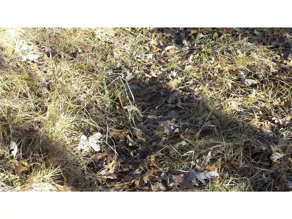 Saint Croix Falls, WI 54024,Lot 3 275th St