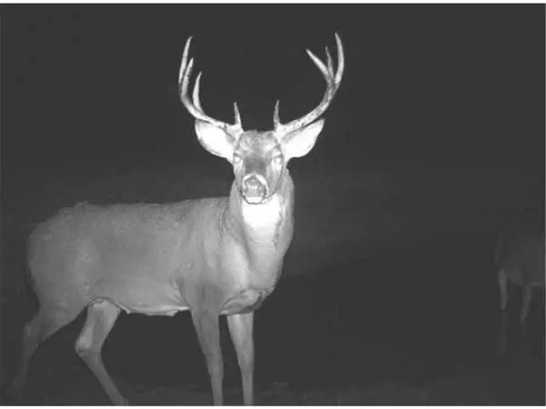 Nelson, WI 54756,0 Serum Road