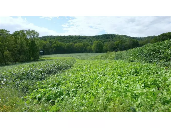 Nelson, WI 54736,0 Lindstrom Road