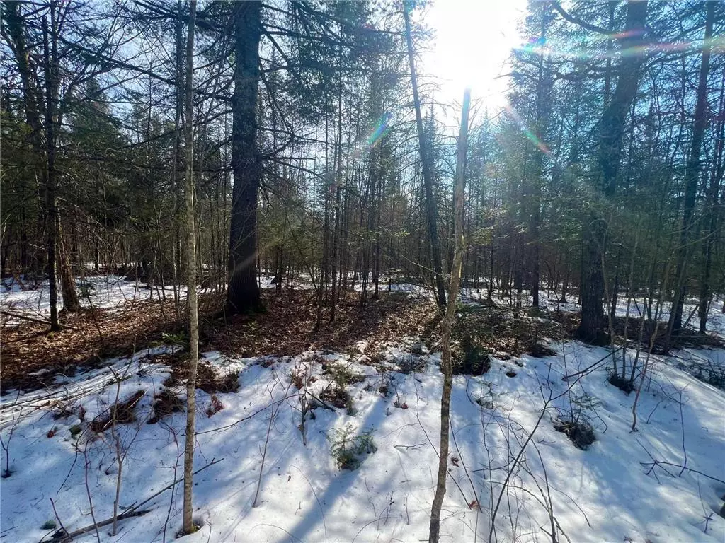Couderay, WI 54828,0 Borrie Road